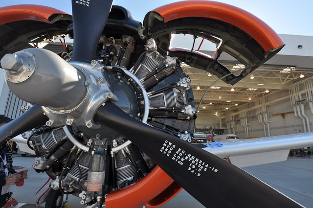 Navy T-28B Trojan VT-2