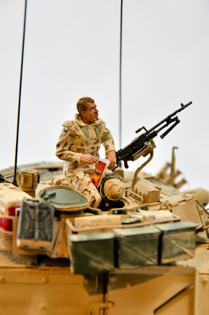 Model Detail Doritos