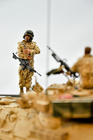 Model Detail Tim Hortons Coffee