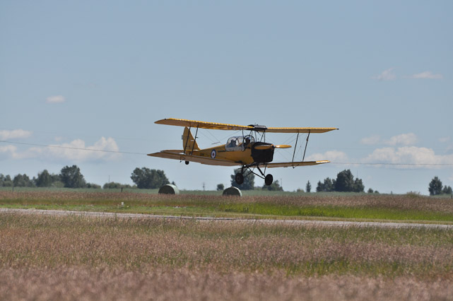 Tiger Moth Landing