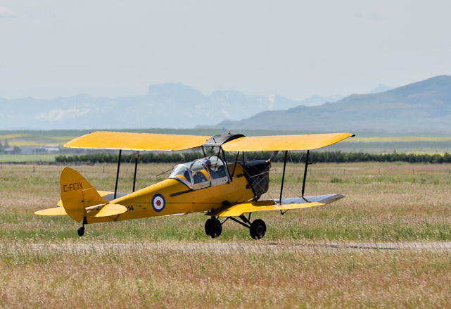 Tiger Moth Landing