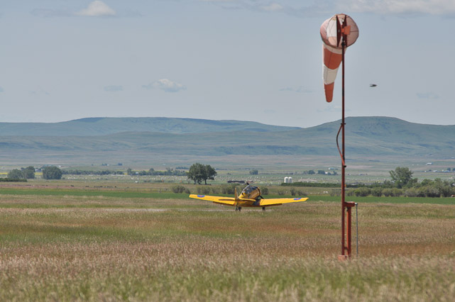 Harvard Mk IV Rollout
