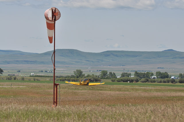 Harvard Mk IV Rollout