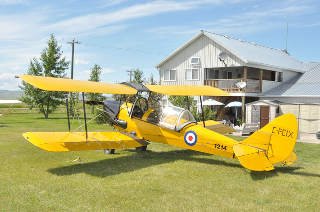 Tiger Moth