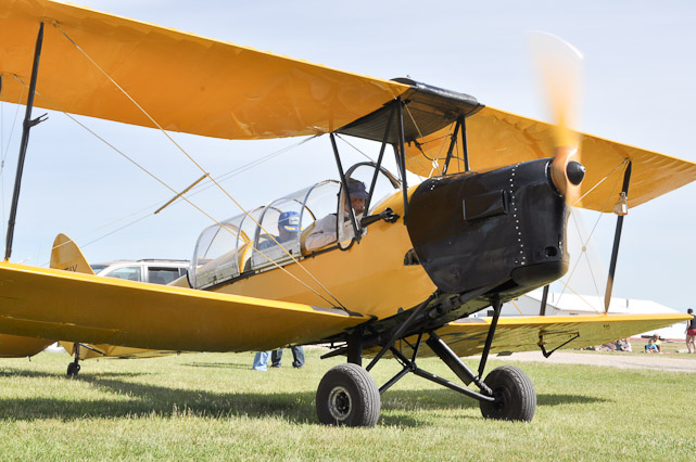 Tiger Moth Warms Up