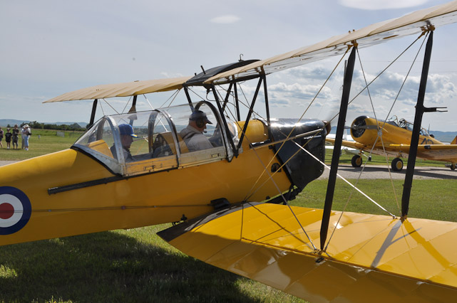 Tiger Moth Warms Up
