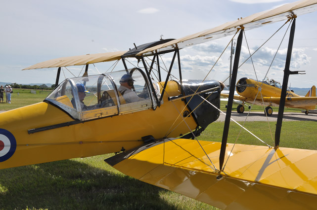 Tiger Moth Warms Up